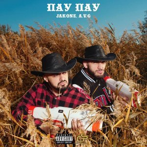 Обложка: Jakone, A.V.G - Пау Пау