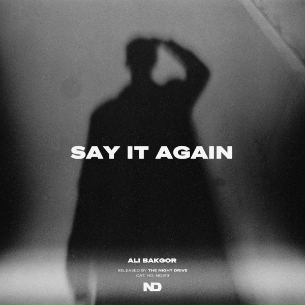 Обложка: Ali Bakgor - Say It Again