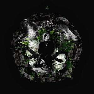 Обложка: Лера Антипова - Trap Gf