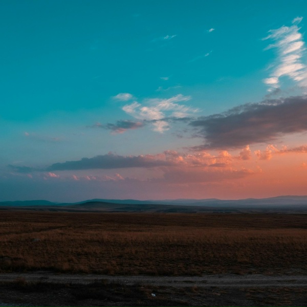 Обложка: Antent, Nectry, Wilee - still feel the same