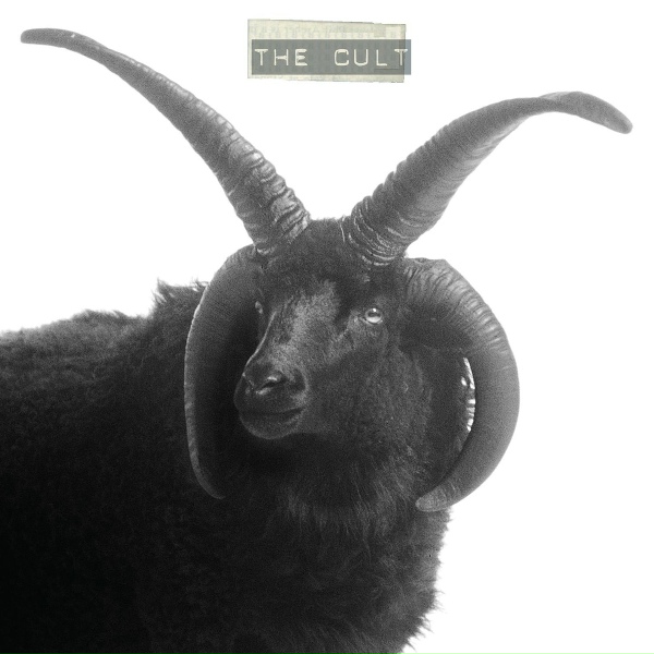 Обложка: The Cult - Black Sun