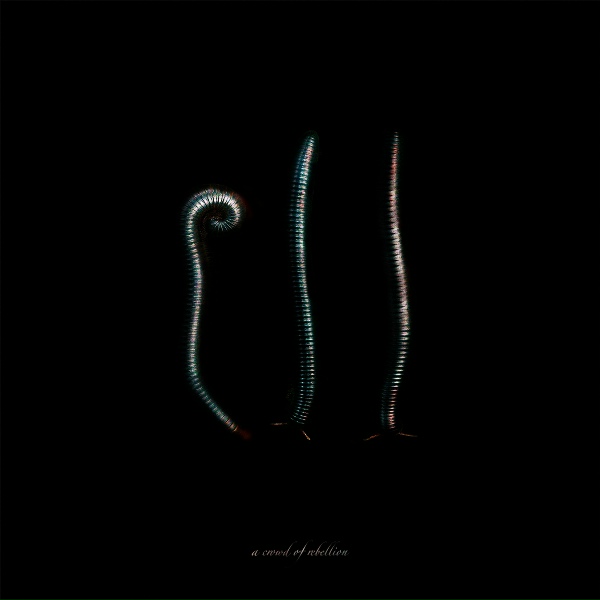 Обложка: a crowd of rebellion - Ill