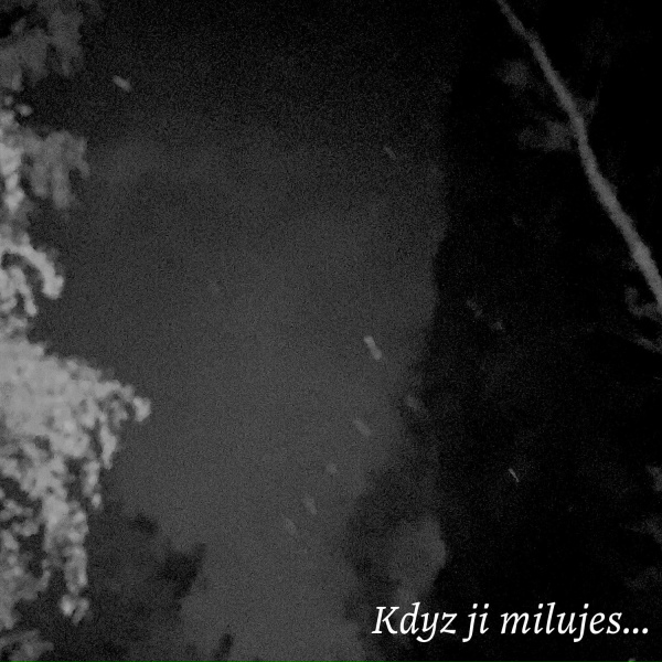Обложка: Kdyz ji milujes... - Konec