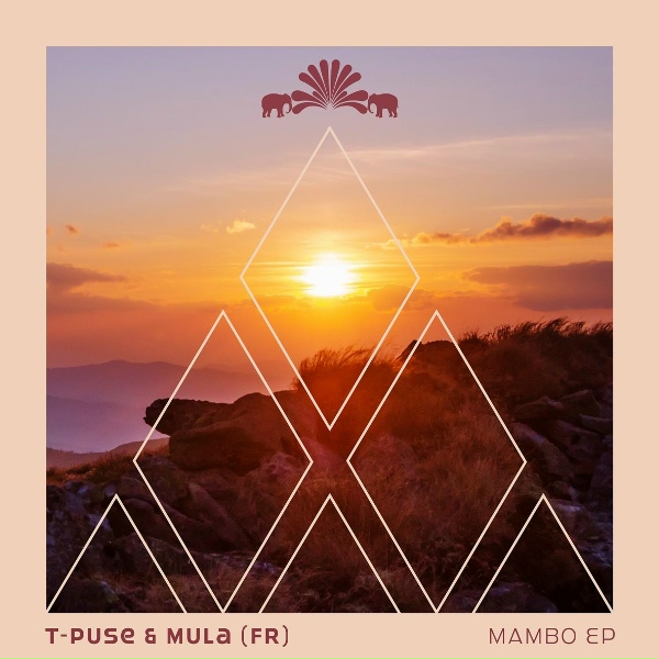Обложка: T-Puse, Mula (FR) - Mambo