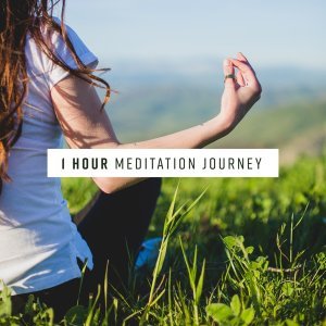 Обложка: Sounds of Nature Relaxation - Soft Energy Music