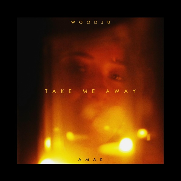 Обложка: WOODJU feat. AMAK - Take me away