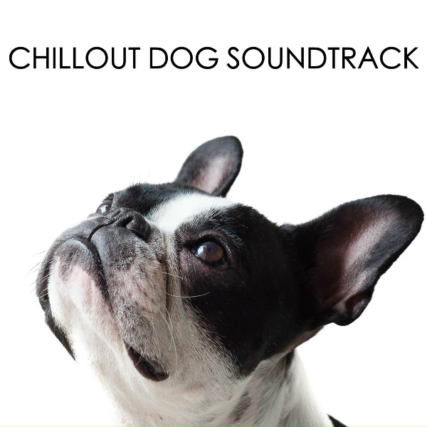 Обложка: Dog Chillout Zone - At Home With Dog Chillout