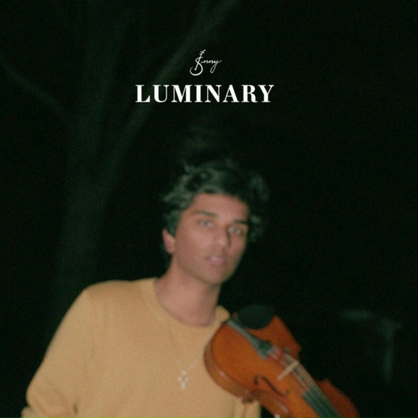 Обложка: Joel Sunny - Luminary