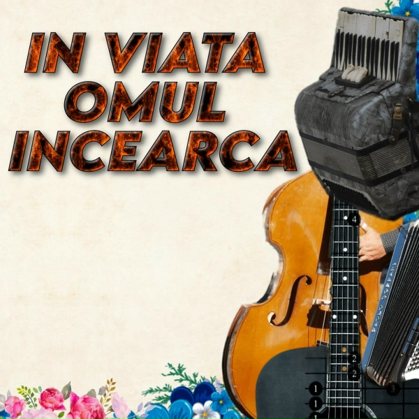 Обложка: LAURENTIU CRACIUN - muzica de petrecere