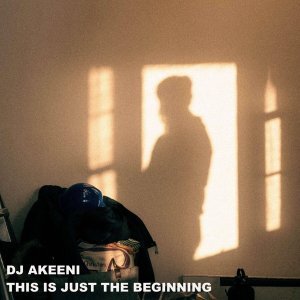 Обложка: dj akeeni - holiday