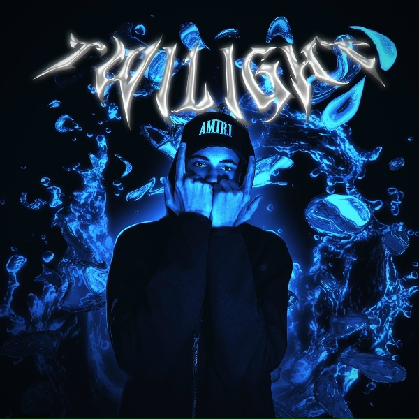 Обложка: THREEMUSS - Twilight