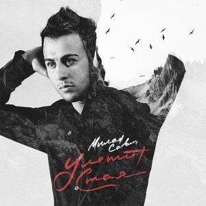 Обложка: Милан Савич - Улетит Стая