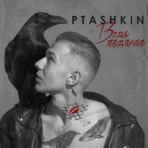Обложка: PTASHKIN - Вода ледяная