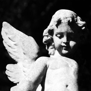 Обложка: Cold Cave - Siren Song