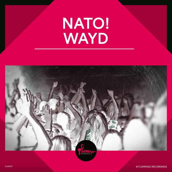 Обложка: NATO! - WAYD