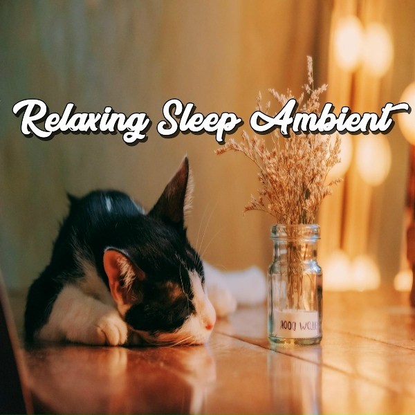 Обложка: Relaxing Music, Musica para dormir profundamente, meditation music - Relaxing on the Beach
