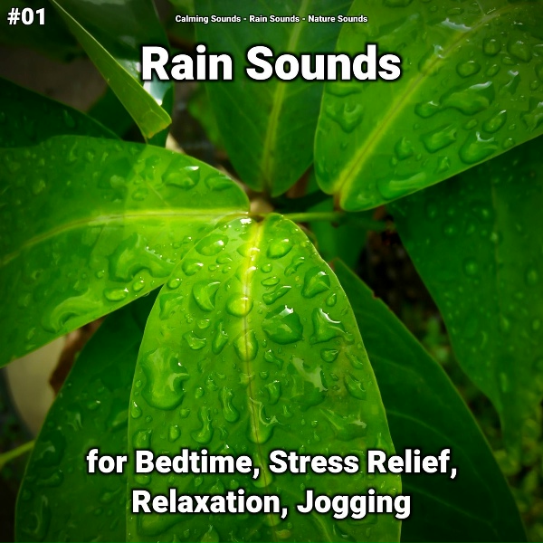 Обложка: Calming Sounds, Rain Sounds, Nature Sounds - Deep Sleep