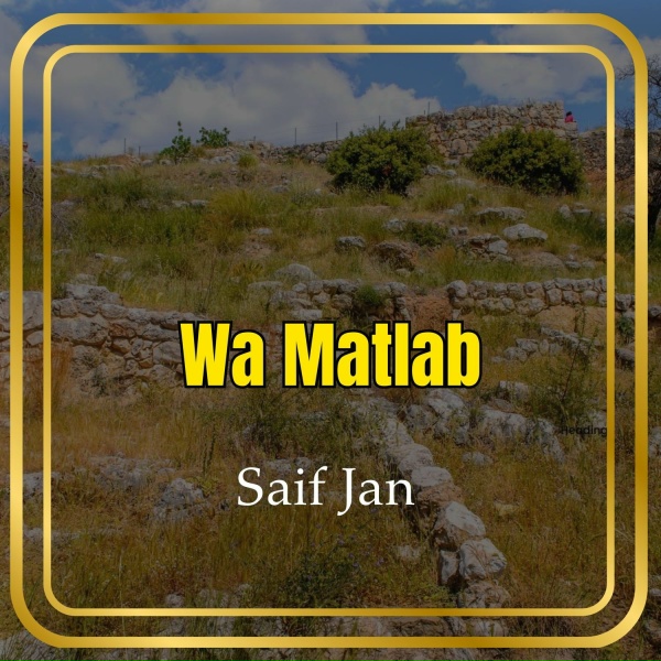 Обложка: Saif Jan - Wat Ganaky
