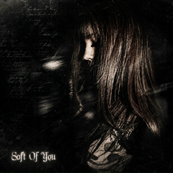 Обложка: DIGITAL REY - Soft of You