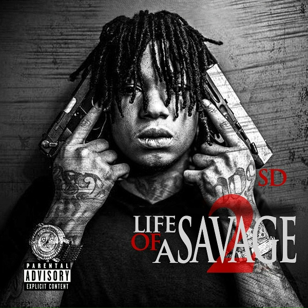 Обложка: SD feat. Tray Savage - All This Money