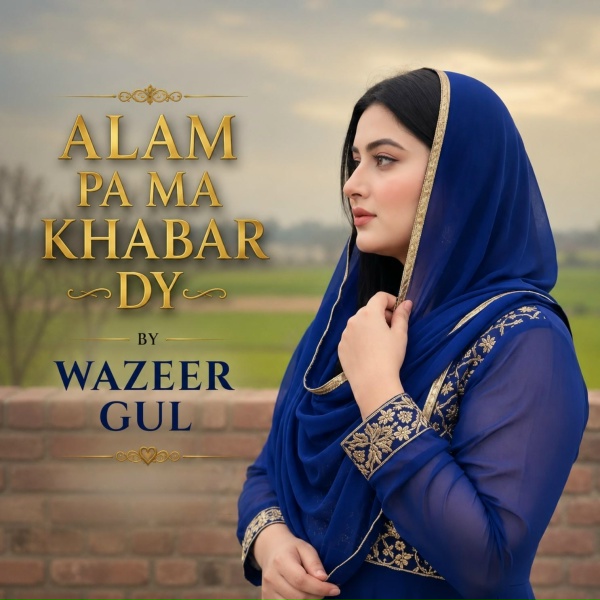 Обложка: Wazeer Gul - Alam Pa Ma Khabar Dy