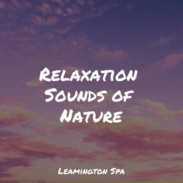 Обложка: Water Spa, Oasis of Meditation, Rain Sound Plus - Sailing Beyond Horizons