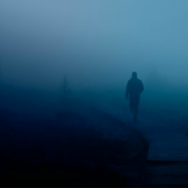 Обложка: silxghty, fauleriij, Fraqu - disappear