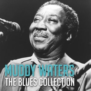 Обложка: Muddy Waters - Mean Red Spider
