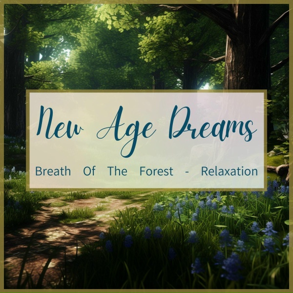 Обложка: New Age Dreams - The Barista's View
