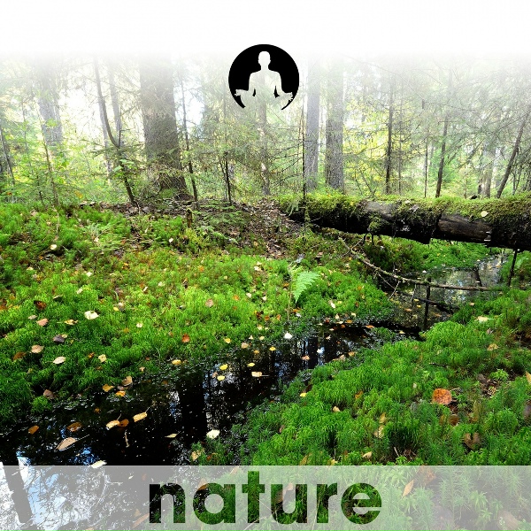 Обложка: Nature's Harmony - The Wood Nymph
