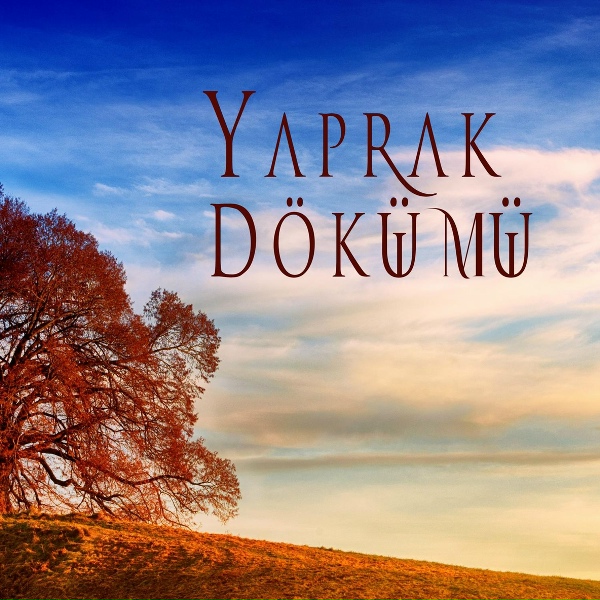 Обложка: Ney Defteri - Yaprak Dökümü