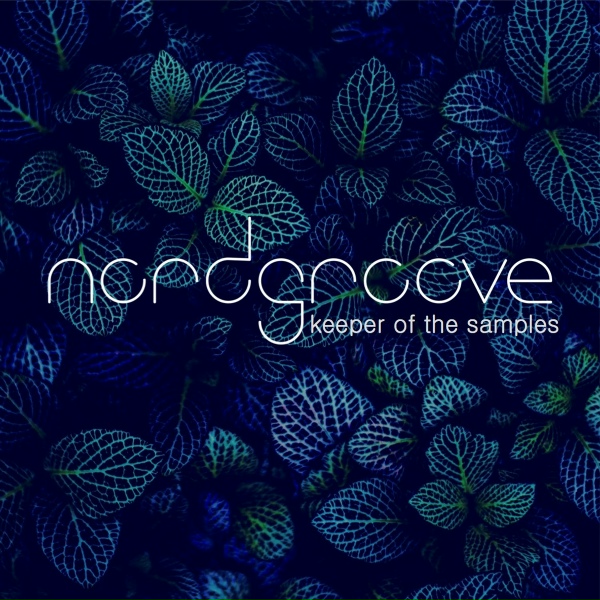 Обложка: Nordgroove - Name