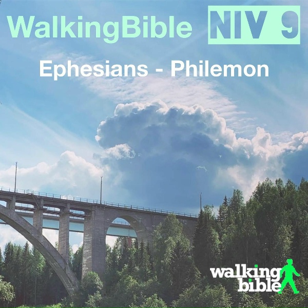 Обложка: WalkingBible - 2 Timothy 2:22