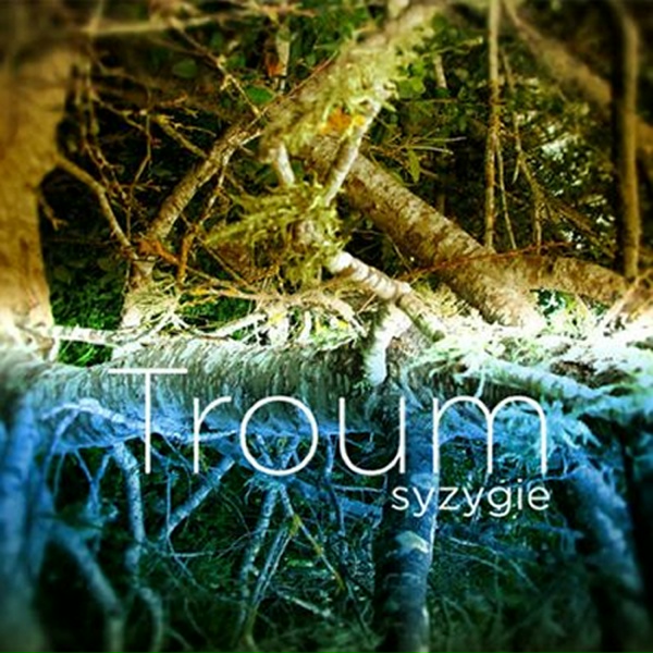 Обложка: Troum - Ater