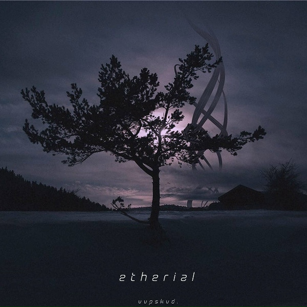 Обложка: vvpskvd. - Etherial