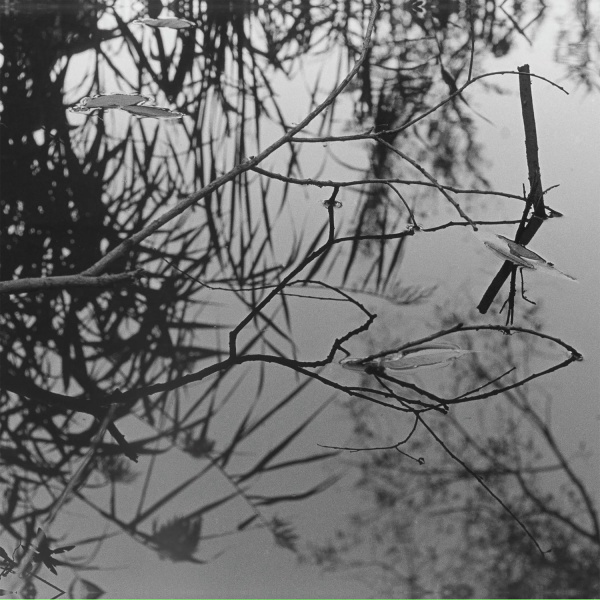 Обложка: Antony and the Johnsons, ANOHNI - Swanlights