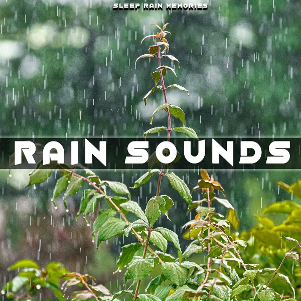 Обложка: Sleep Rain Memories - Relaxing Rain Sound