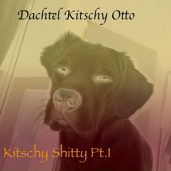 Обложка: Dachtel Kitschy Otto - Vulkan