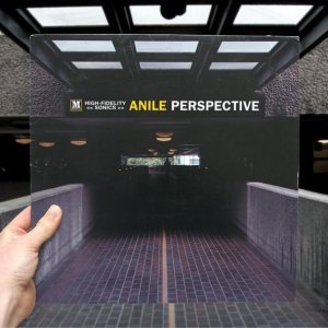 Обложка: Anile feat. Taelimb, Tiffani Juno - Not The Way (To Run)