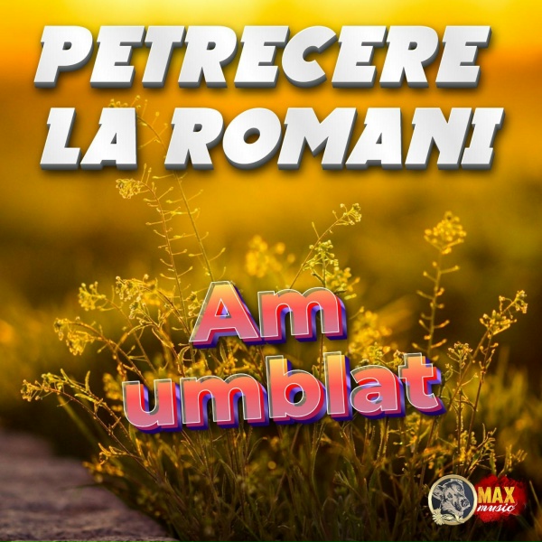 Обложка: Petrecere la Romani - La Chilia