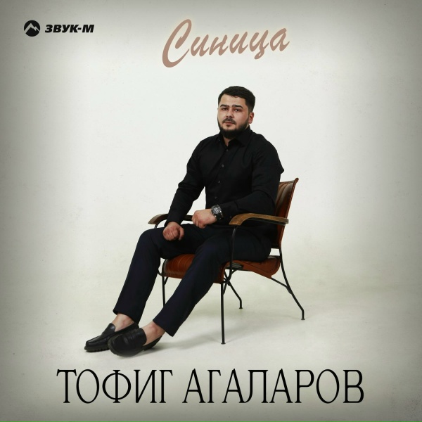 Обложка: Тофиг Агаларов - Синица