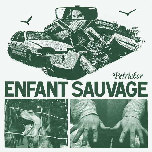 Обложка: Enfant Sauvage - A Misty Day