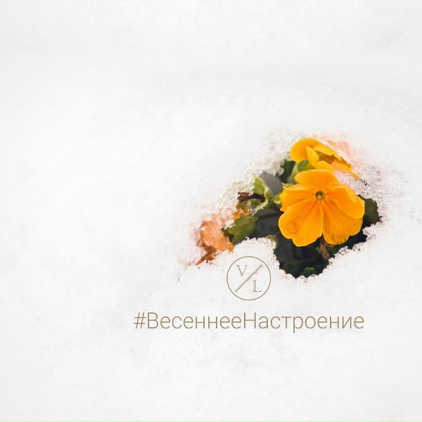 Обложка: Семён Гринберг - Играть под дождём