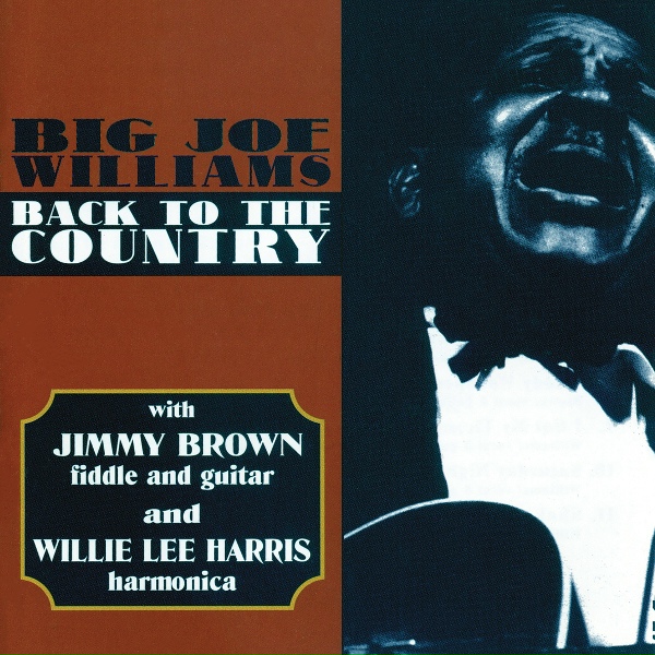 Обложка: Big Joe Williams - Shake Your Boogie