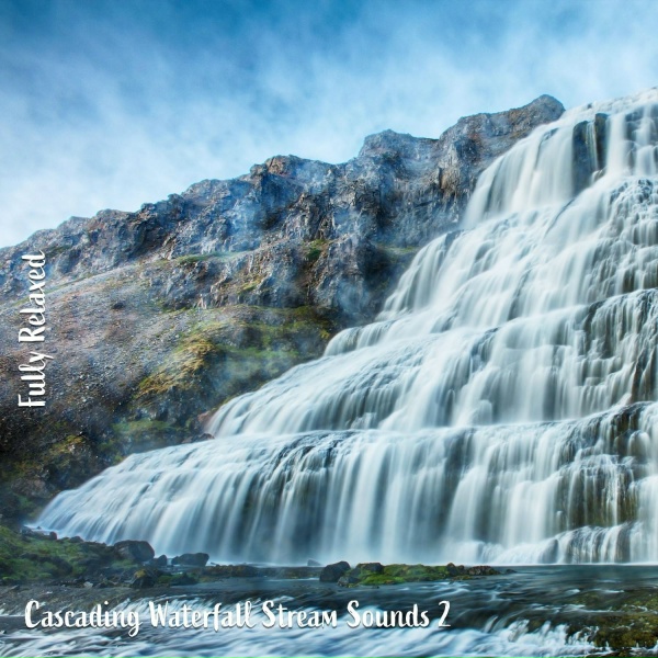 Обложка: Steve Brassel - Cascading Waterfall Stream Sounds, Pt. 7