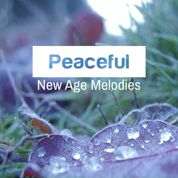 Обложка: World Music For The New Age - Bird Sounds