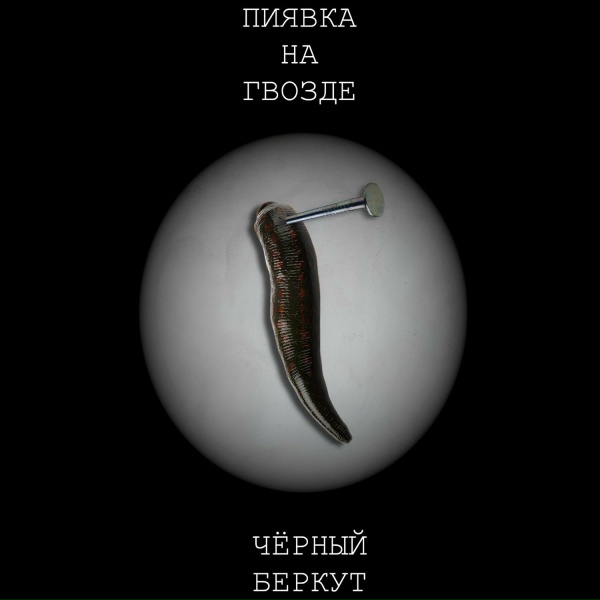 Обложка: Чёрный Беркут - Чёрно-белое