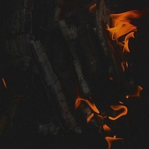 Обложка: Хилис - лови