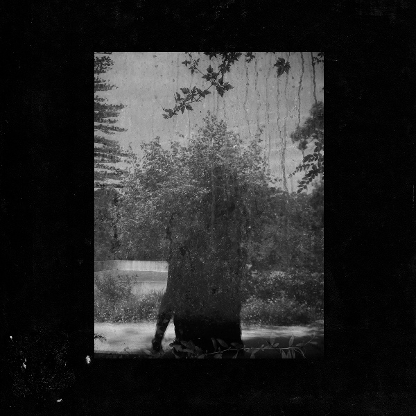 Обложка: Grouper - Call Across Rooms