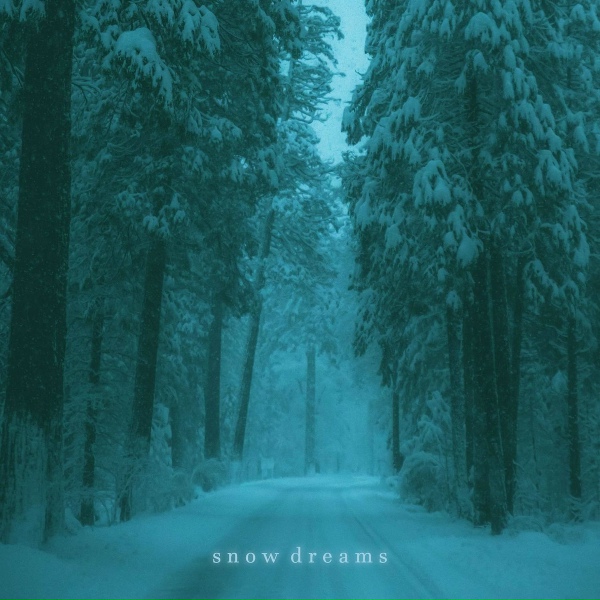 Обложка: dj akeeni - snowfall comes again